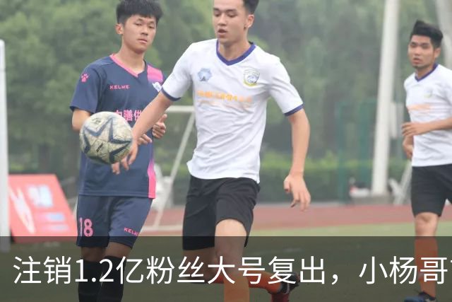 注销1.2亿粉丝大号复出，小杨哥首秀5分钟只有1700人看完