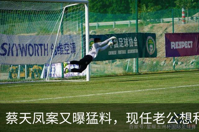 蔡天凤案又曝猛料，现任老公想和前夫发生关系，并承认500万输光